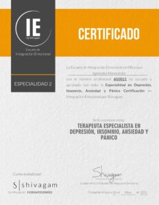Certificado_IE-DIAP-scaled (1)